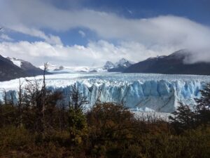 uma paisagem com uma mata da patagónia e um graciar de fundo