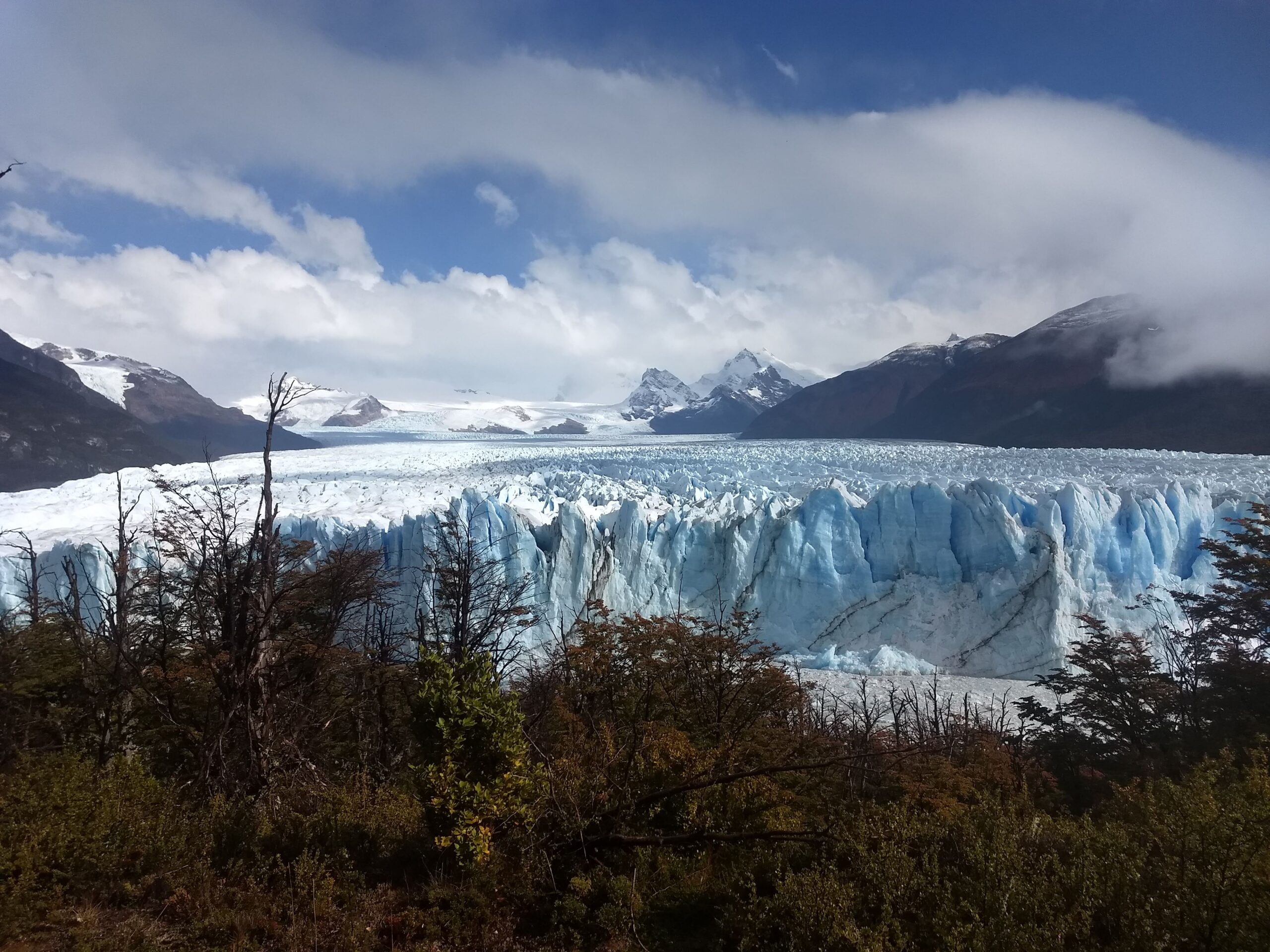 uma paisagem com uma mata da patagónia e um graciar de fundo